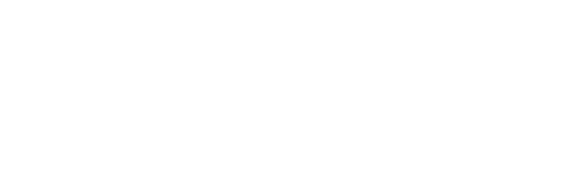 Simz Werkz