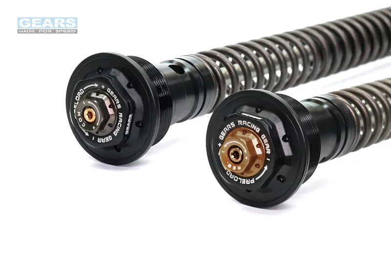 KAWASAKI Versys X 300 (17~) Front Fork Cartridge Conventional-Forks ( FFC-250-T ) - Wadamart