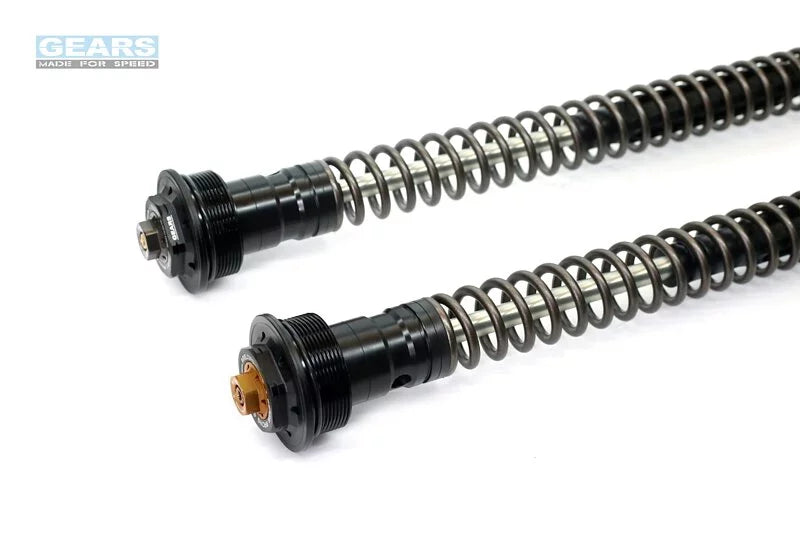 KAWASAKI Versys X 300 (17~) Front Fork Cartridge Conventional-Forks ( FFC-250-T ) - Wadamart