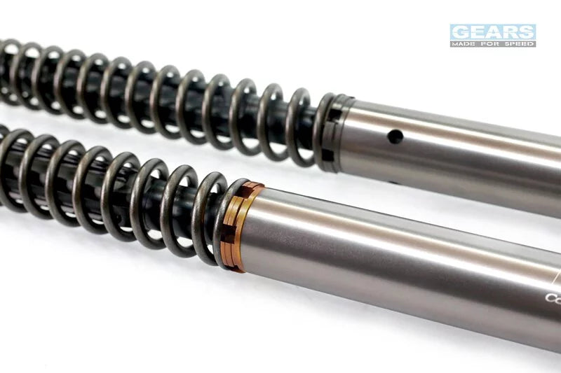 KAWASAKI Versys X 300 (17~) Front Fork Cartridge Conventional-Forks ( FFC-250-T ) - Wadamart
