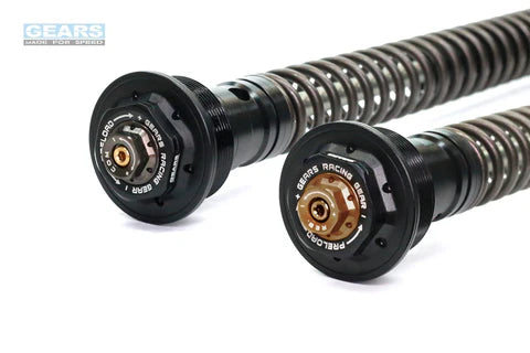 APRILIA TUONO 660 (21~) Front Fork Cartridge Inverted-Forks ( FFC-250-TT ) - Wadamart