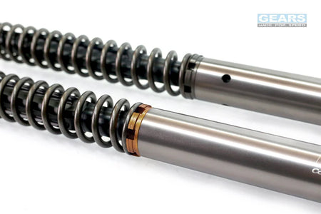APRILIA TUONO 660 (21~) Front Fork Cartridge Inverted-Forks ( FFC-250-TT ) - Wadamart
