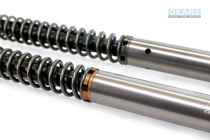 BMW F900GS (24~) Front Fork Cartridge Inverted-Forks ( FFC-250-TT ) - Wadamart