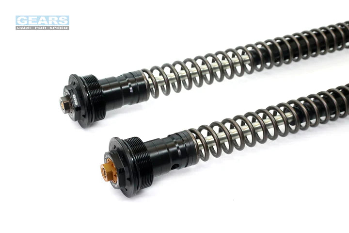 BMW G310R (16~) Front Fork Cartridge Inverted-Forks ( FFC-250-T ) - Wadamart