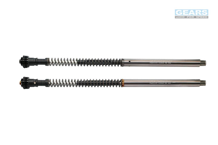 BMW G310R (16~) Front Fork Cartridge Inverted-Forks ( FFC-250-T ) - Wadamart