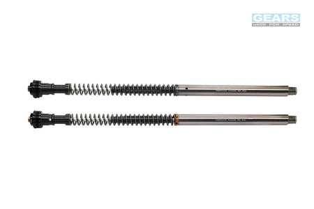 KAWASAKI Z900 RS (18~) Front Fork Cartridge Inverted-Forks ( FFC-250-T ) - Wadamart